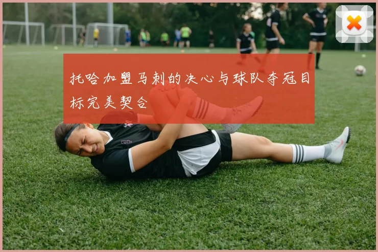 托哈加盟马刺的决心与球队夺冠目标完美契合